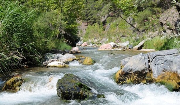 Yağmaya Davet, Doğaya Darbe; Madde 75 / Birkan Yüksel