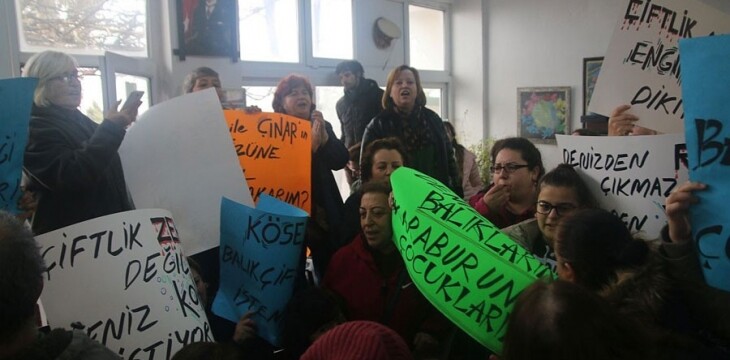 ‘Balık çiftlikleri hem denizimize hem geçimimize zararlı’