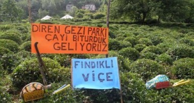 Gezi Parkı Direnişinin İlhamını Yerelde Aramak / Sinan Erensü