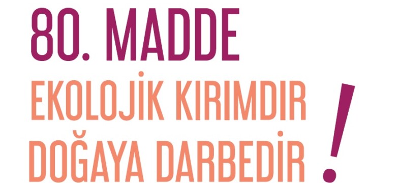 Madde 80 Doğaya Darbedir