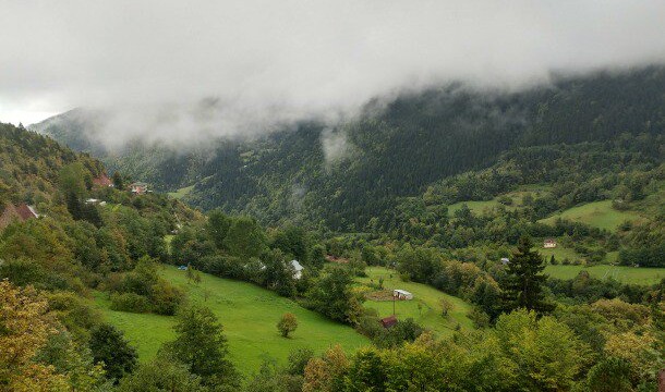 Cerattepe’de yol genişletmek için 2 bin metreküplük kesim ihalesi