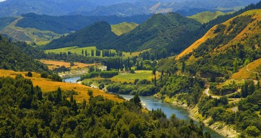 Yeni Zelanda’da bir nehir ‘canlı varlık’ olarak tanındı, hukuki statü verildi