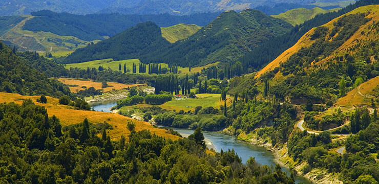 Yeni Zelanda’da bir nehir ‘canlı varlık’ olarak tanındı, hukuki statü verildi