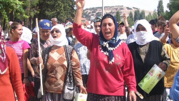 Ekoloji mücadelesi neden HAYIR diyor, demeli?