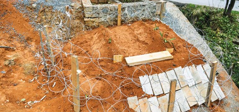 Rize’de Yaşam Alanları Tahrip Edilen Ayılar Mezarlıkları Açtı