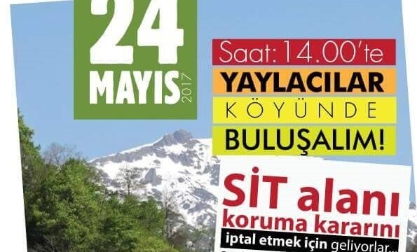 Fındıklı Arılı Vadisi Bilirkişi Keşfi Ertelendi