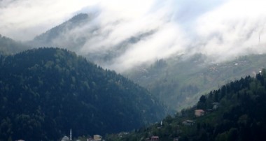 Trabzon’da 80 Kişinin Kanserden Öldüğü Köy Meclise Taşındı