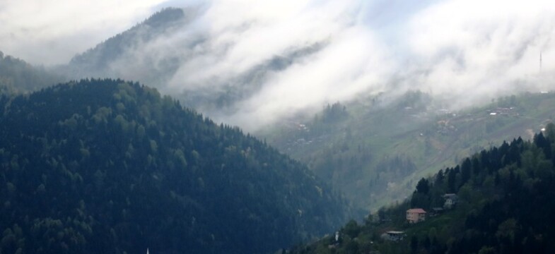 Trabzon’da 80 Kişinin Kanserden Öldüğü Köy Meclise Taşındı