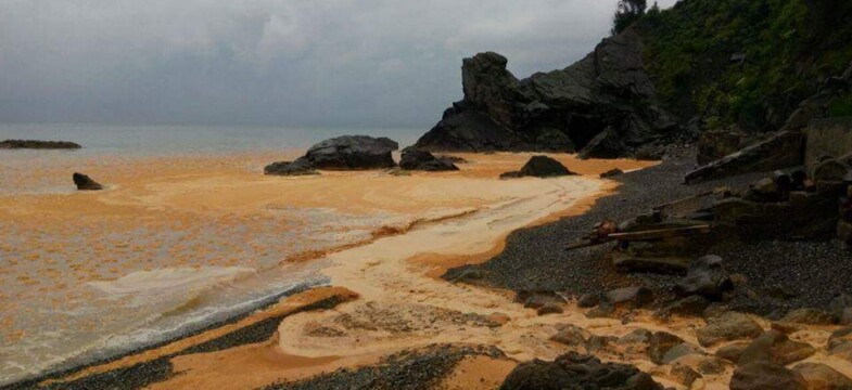 Alacaağız Sahiline Çamur Akıyor