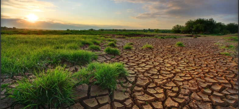Her Sel Sonrası Okunacak Yazı: Kader mi, felaket mi?