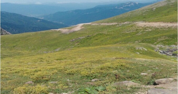 Arhavi Yaylalarında Maden Aranacak