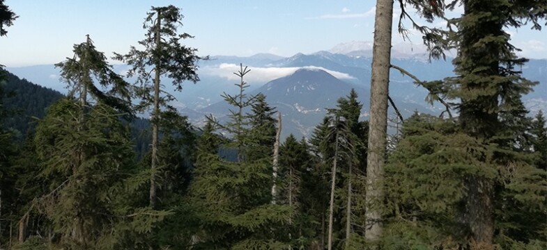 Cengiz’in Cerrattepe yalanlarına inanmayın