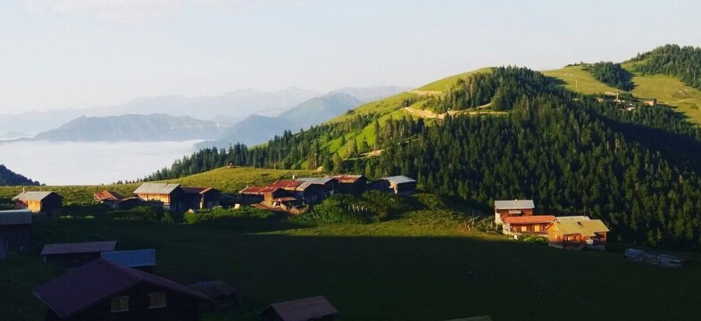 Ve Sıra Pokut’a Geldi