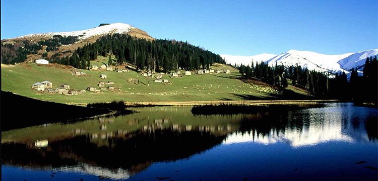 Kardeniz’in iklim eylem planı inşaat rantı