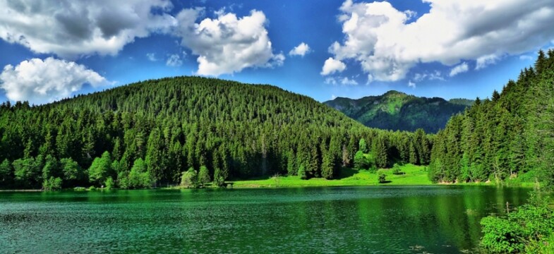 Danıştay’ın durduğu Armutlu HES için yeniden başvuru