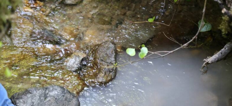 Artvinliler BM’ye gidecek : Cerattepe’de derelerden su değil, makine yağı akıyor