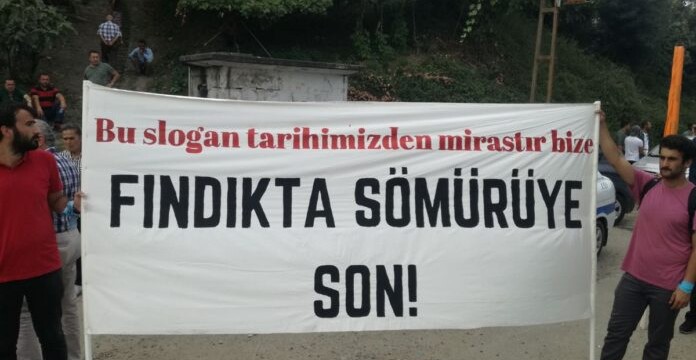 Fındıkta Sömürüye Son
