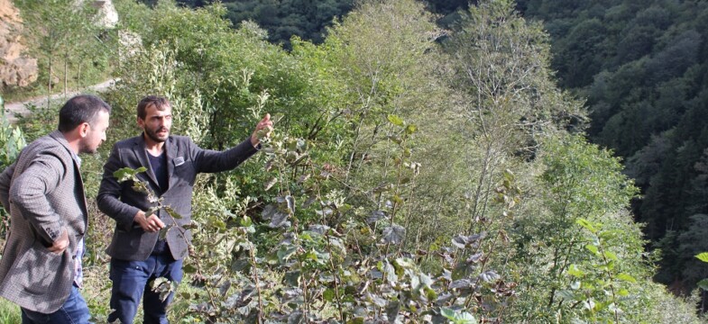 Çaykara halkı HES mücadelesine hazırlanıyor