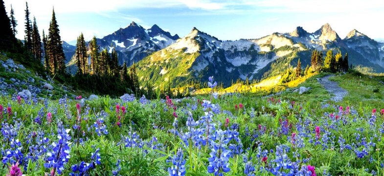 Kaçkarlar’ın ölüm fermanı yazılıyor