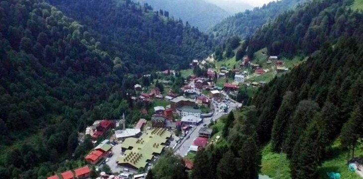 Rize Valisi, Ayder’deki doğa talanını itiraf etti