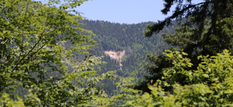 “Cerrattepe’deki Maden Böyle Giderse Artvin’i Sadece Fotoğraflarda Göreceğiz”