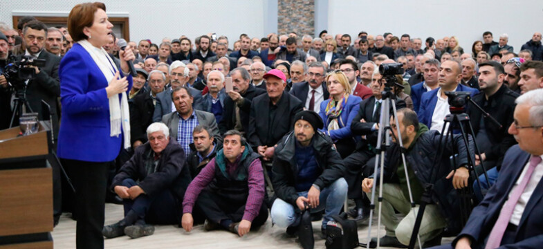 İyi Parti Genel Başkanı Meral Akşener’den Artvinlileri Kızdıracak Açıklama
