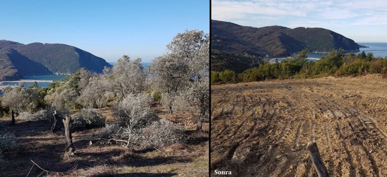 Bartın Platformu: Sorumlular hesap vermeli