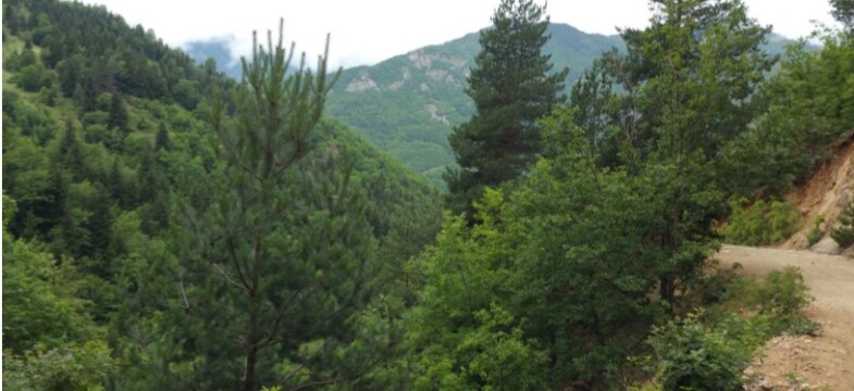 Eti Gümüş’ün Artvin’de Maden Aramasına ÇED Gerekli Değildir Kararı