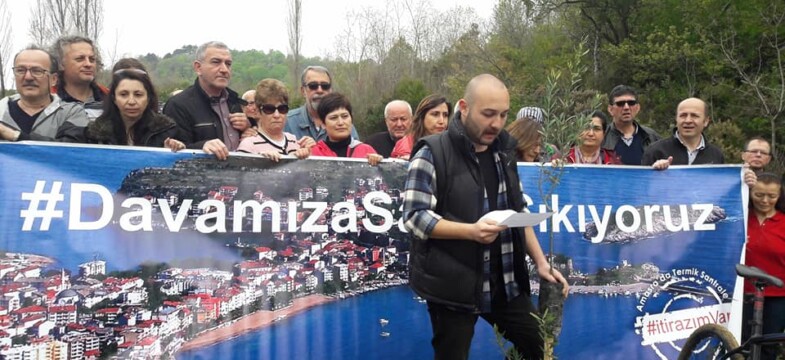 Bartın Platformu : Kesilen Zeytin Ağaçları Yerine Yeni Fidanlar Dikildi