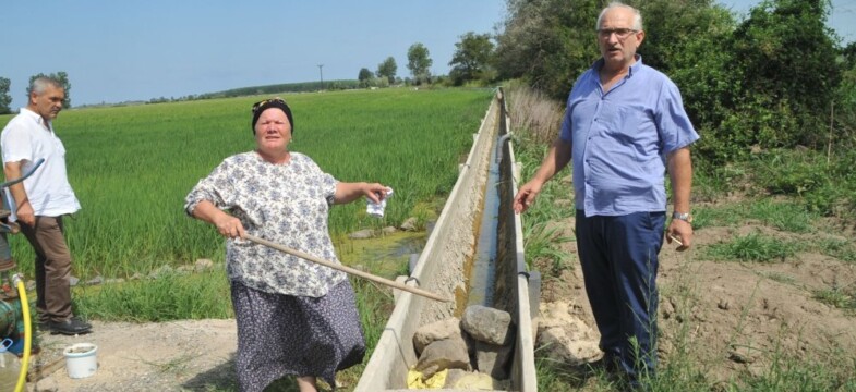 Bafra Ovası’ndan korkutan alarm!