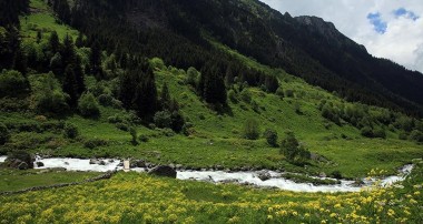 11 ilde onlarca yayla imara açılıyor