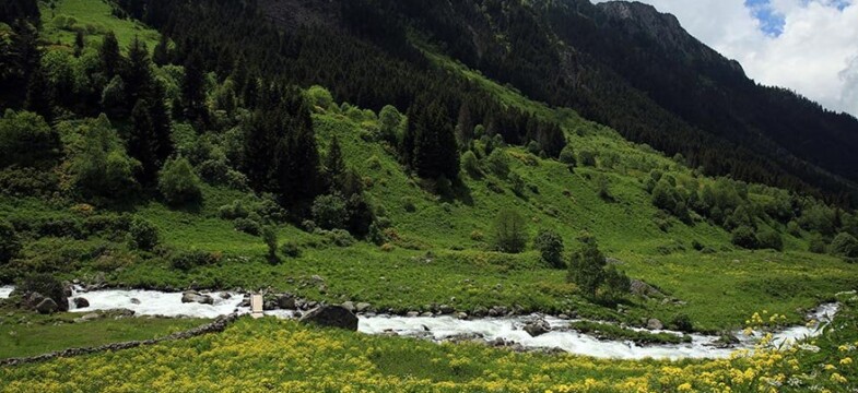 11 ilde onlarca yayla imara açılıyor