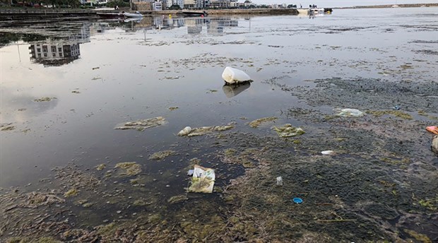 Samsun Çevre Platformu’ndan yat limanı tepkisi
