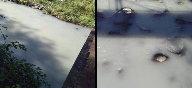 Atıklar yüzünden dere beyaza büründü