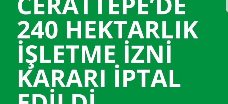 Cerattepe’de 240 Hektarlık İşletme İzni Kararı İptal Edildi