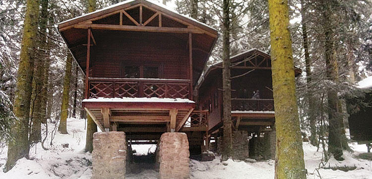 Bungalov ihalesi mahkeme dinlemedi