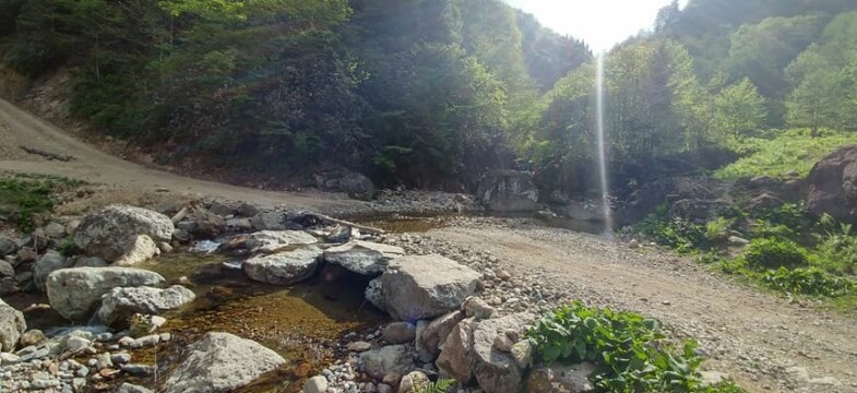 Bakanlık, bilirkişiye rağmen bilemedi!
