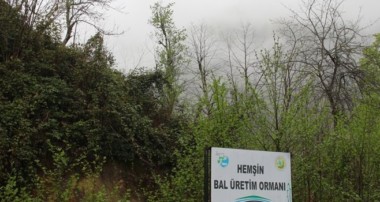 Bal ormanına ‘taş ocağı’ tepkisi