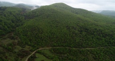Zonguldak Kalker Ocağına İzin Çıkarsa Ormandan 3 Bin 133 Ağaç Kesilecek