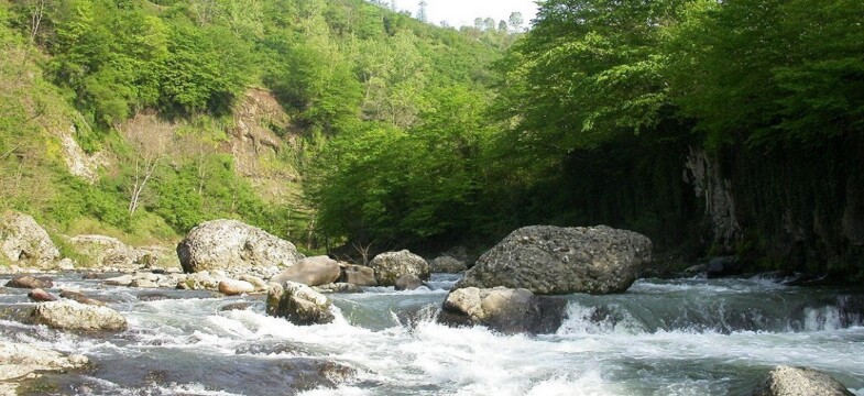 Turnasuyu Irmağı da HES tehdidi altında: Denize akan su kalmayacak
