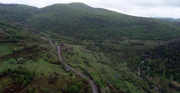 Mücadelenin zaferi: Zonguldak’ta 3 bin ağaç kurtuldu