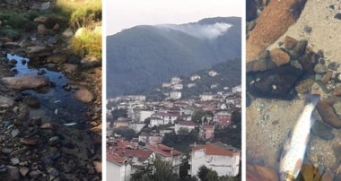 ORÇEV: Perşembe ve Mesudiye için yetkililer bir an önce harekete geçsin