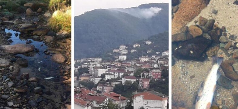 ORÇEV: Perşembe ve Mesudiye için yetkililer bir an önce harekete geçsin