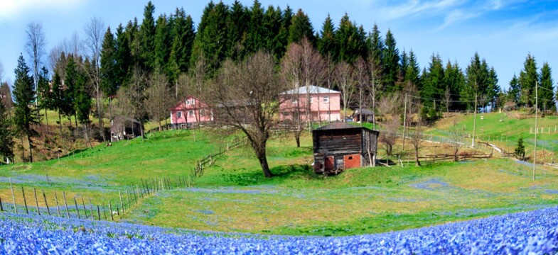 Tonyalılar Kadıralak Yaylası’nın koruma statüsünün kaldırılmasına tepkili