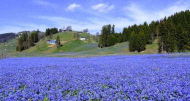 Çevre ve Şehircilik Bakanlığı’ndan yeni karar! Çakılamayan çiviye izin çıktı