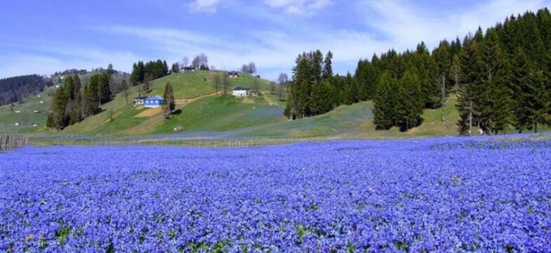 Çevre ve Şehircilik Bakanlığı’ndan yeni karar! Çakılamayan çiviye izin çıktı