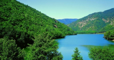 Yönetmeliğin kapsamı açık değil!