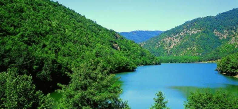 Yönetmeliğin kapsamı açık değil!