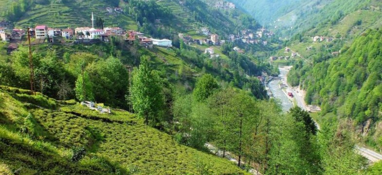 İkizdere Vadisi’nde HES’ten sonra taş ocağı: Dünya “koruyun” diyor ama katlediliyor