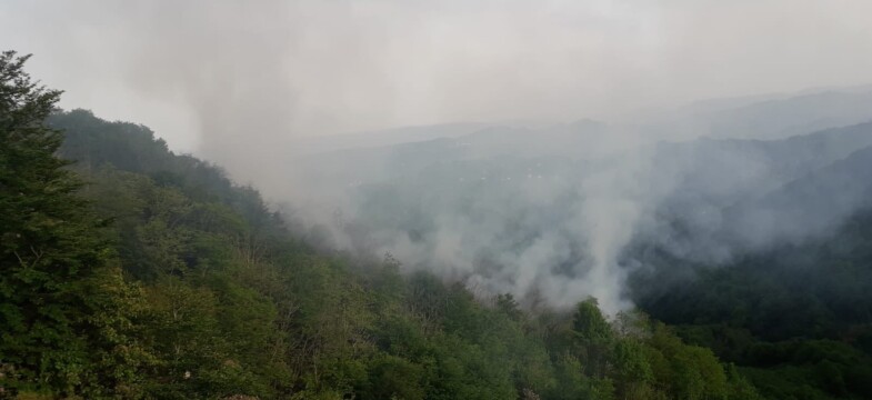 Adıgüzel, mayıs ayında çıkan yangının sabotaj olduğunu ileri sürdü